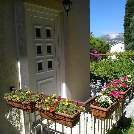 Guest house Medine